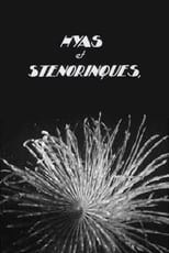 Poster de la película Hyas and Stenorhynchus