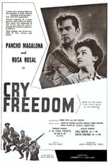 Poster de la película Cry Freedom