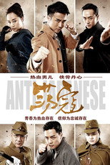 Poster de la serie 荡寇