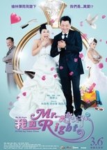 Poster de la película 我的Mr. Right