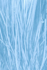 Poster de la película Our Watery Selves