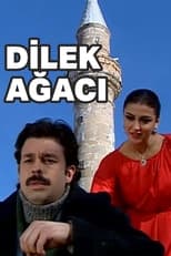 Poster de la película Dilek Ağacı