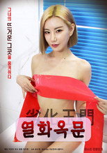 Poster de la película Yeolhwaokmun