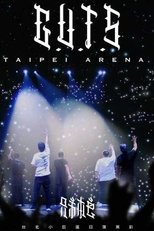 Poster de la película 兄弟本色：台北小巨蛋日落黑趴演唱會