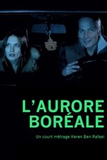 Poster de la película L'Aurore boréale