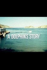 Poster de la película A Dolphin's Story