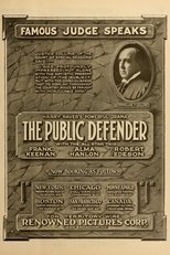 Poster de la película The Public Defender