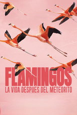 Poster de la película Flamingos: Life After the Meteorite