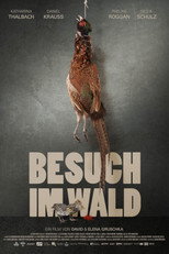 Poster de la película Besuch im Wald