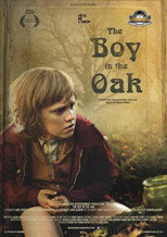 Poster de la película The Boy in the Oak