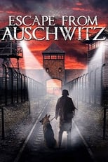 Poster de la película The Escape from Auschwitz
