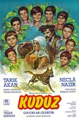 Poster de la película Çoçuklar Çiçektir