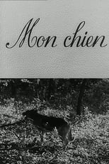 Poster de la película Mon chien