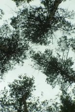 Poster de la película Nature_Nature