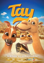 Poster de la película Tay