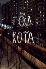 Poster de la película The Year of the Cat