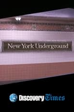 Poster de la película New York Underground
