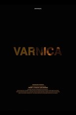 Poster de la película Spark