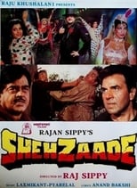 Poster de la película Shehzaade