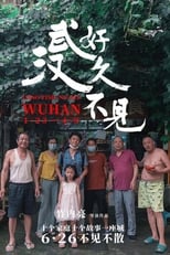 Poster de la película Long Time No See Wuhan