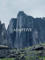 Poster de la película Adaptive