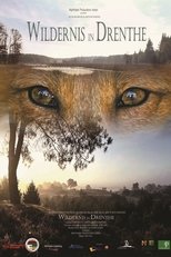 Poster de la película Wildernis in Drenthe
