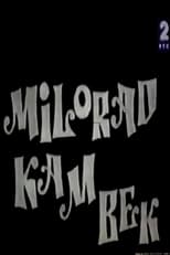 Poster de la película Milorad: The Place to Be