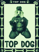 Poster de la película Top Dog