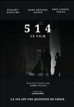 Poster de la película 514