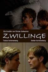 Poster de la película Twins