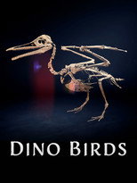 Poster de la película Dino Birds