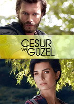 Poster de la serie Sühan: Vengaza y Amor