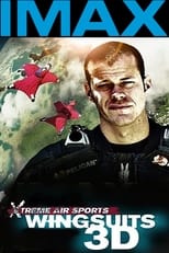 Poster de la película Wingsuit Warrior