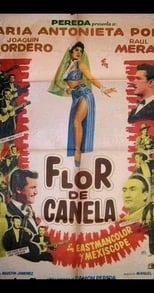 Poster de la película Flor de canela