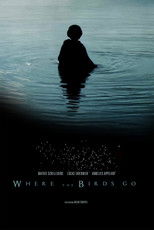 Poster de la película Where the birds go