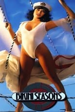 Poster de la película Bikini Seasons