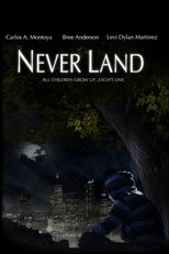 Poster de la película Never Land