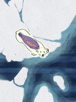 Poster de la película Arctic Shifts