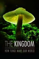 Poster de la película The Kingdom: How Fungi Made Our World