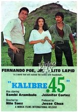 Poster de la película Kalibre .45