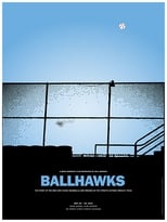 Poster de la película Ballhawks