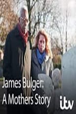 Poster de la película James Bulger: A Mother's Story