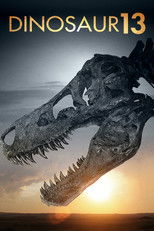 Poster de la película Dinosaur 13