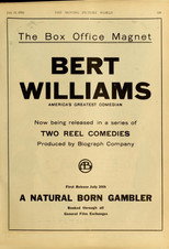 Poster de la película A Natural Born Gambler