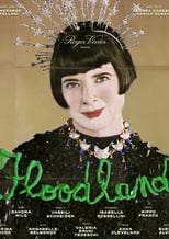 Poster de la película Floodland