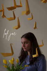 Poster de la película Lof Joe