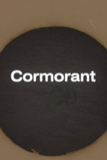 Poster de la película Cormorant