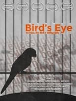 Poster de la película Bird's Eye