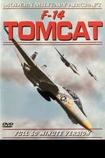 Poster de la película F-14 Tomcat