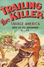 Poster de la película Trailing the Killer